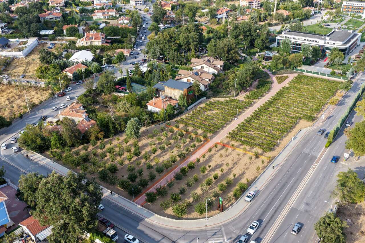 Konya’da geçmişin Meram’ı yeniden yaşandı! Pekmez kokusu şehri sardı 15